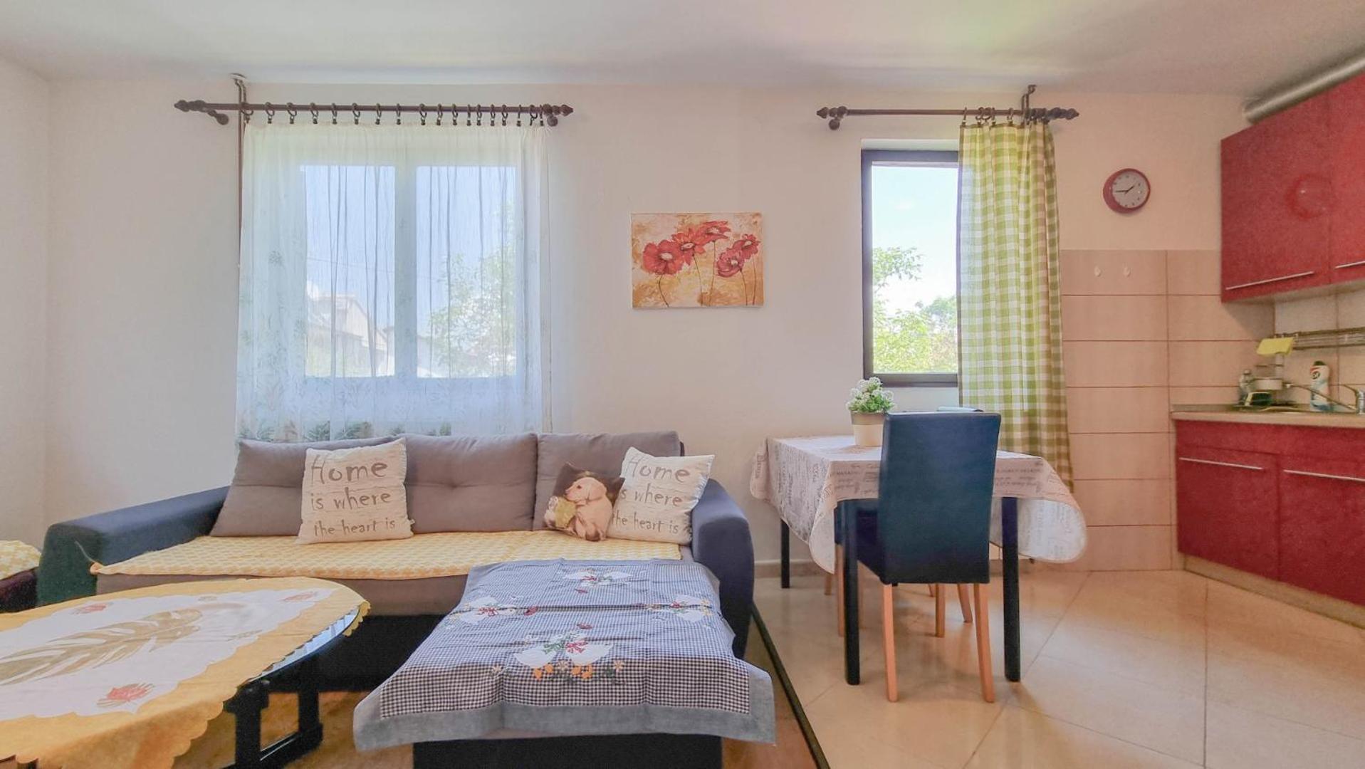 Apartment Mirjana Novigrad Istria 外观 照片
