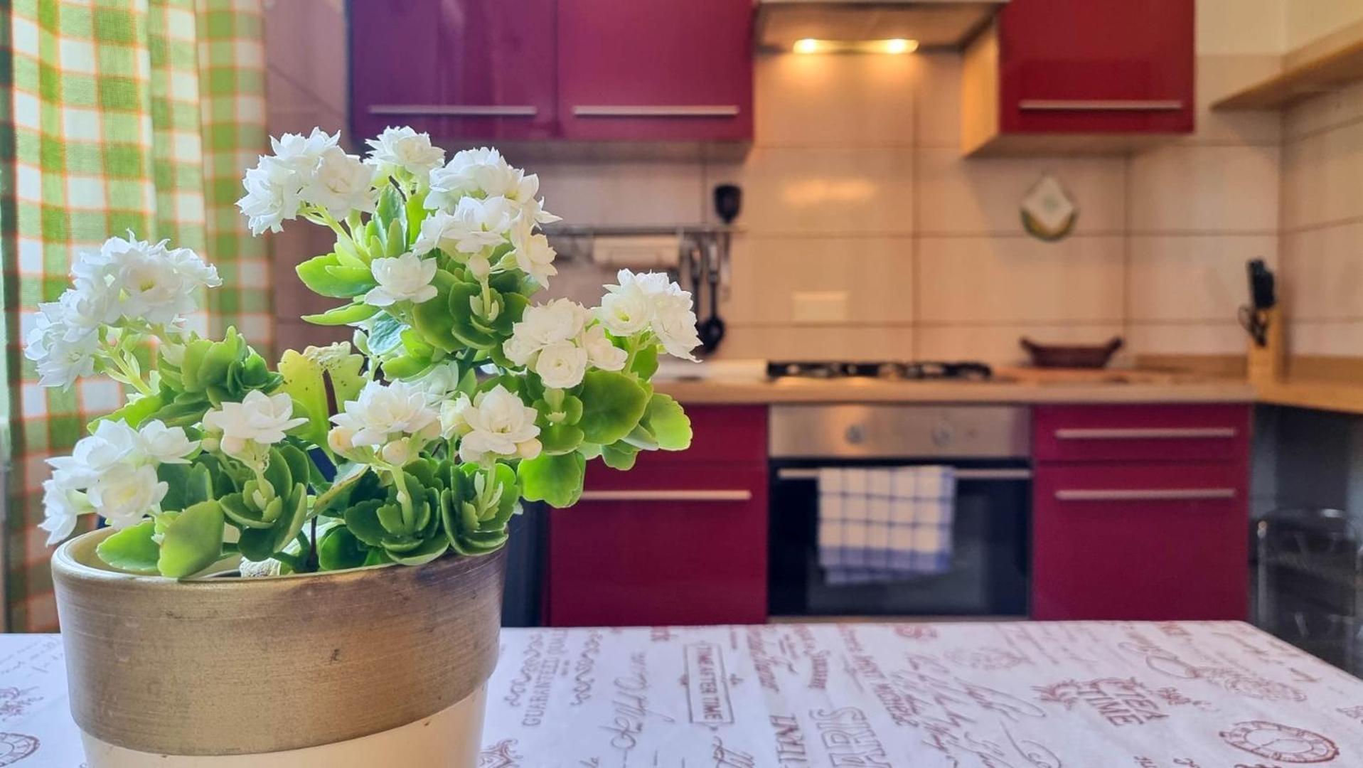 Apartment Mirjana Novigrad Istria 外观 照片