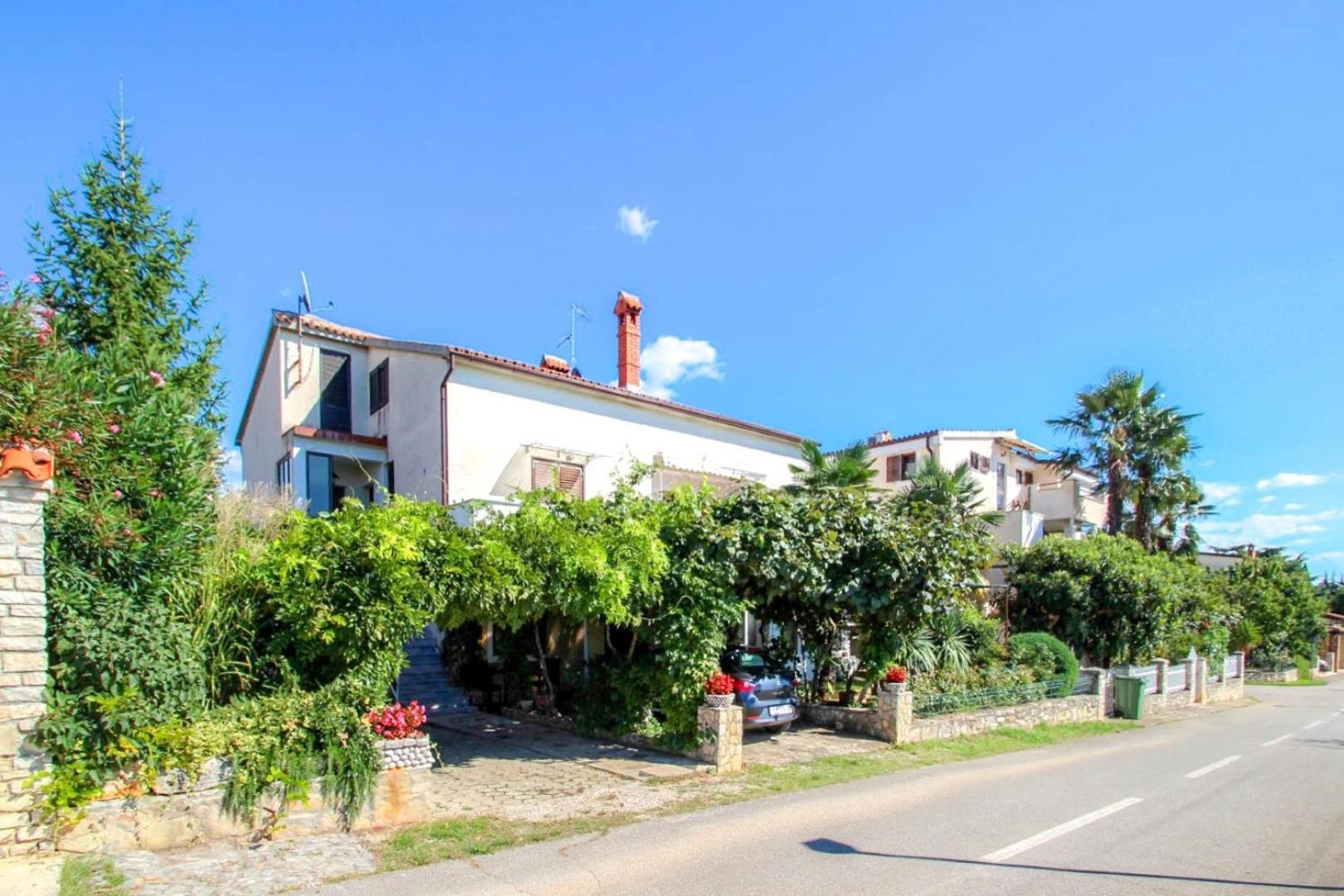 Apartment Mirjana Novigrad Istria 外观 照片