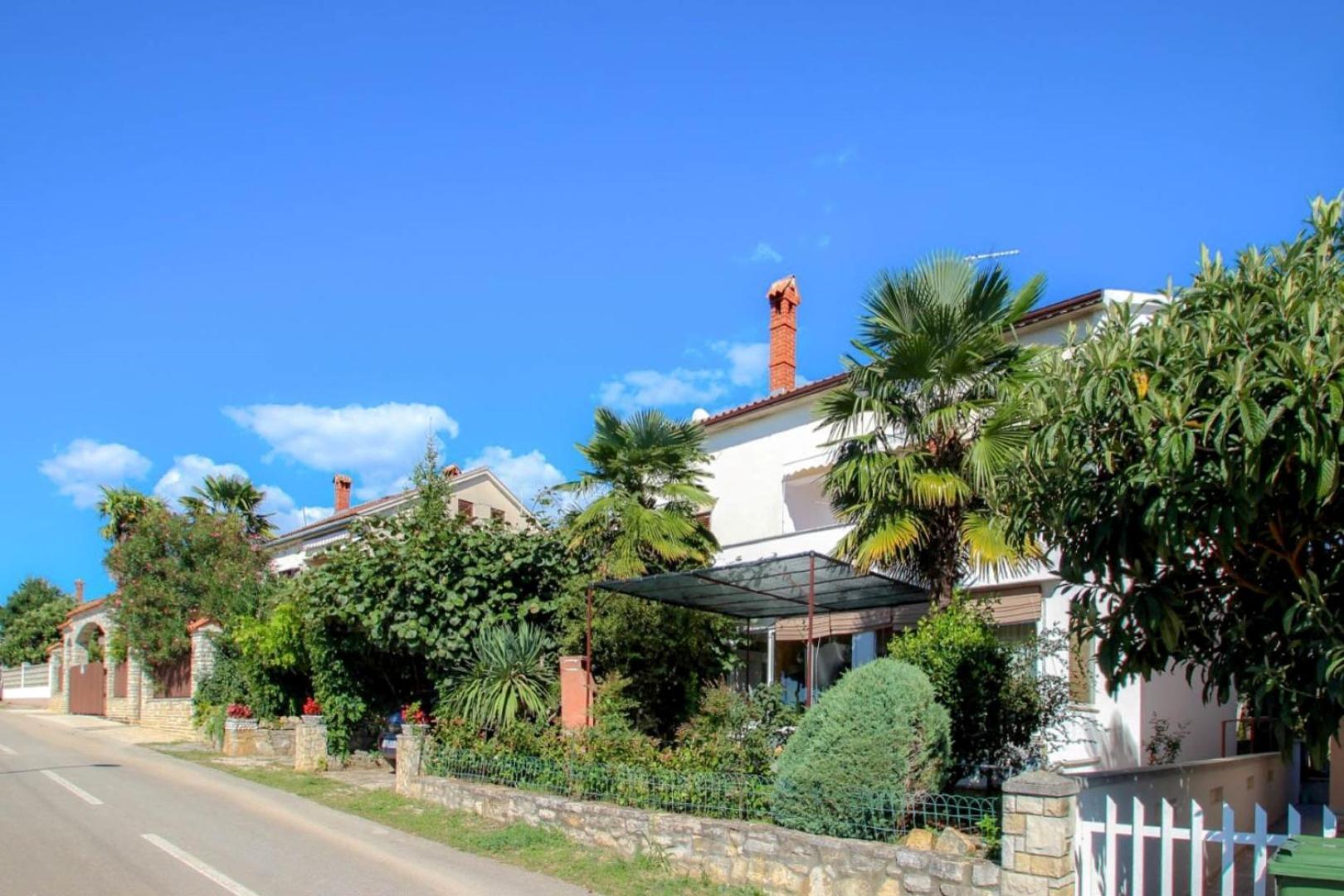 Apartment Mirjana Novigrad Istria 外观 照片